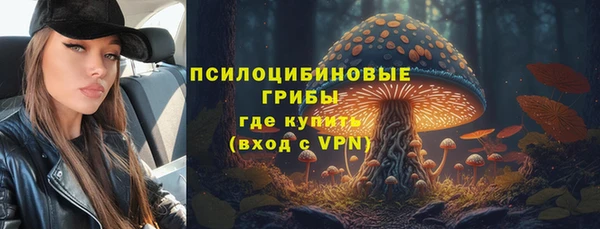spice Балахна