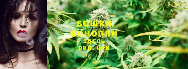 spice Балахна