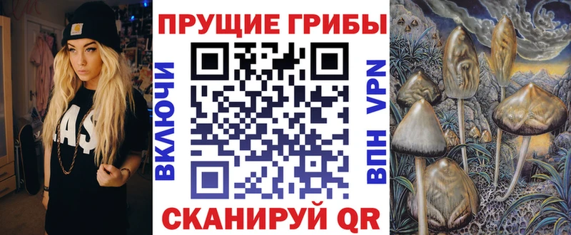 Галлюциногенные грибы GOLDEN TEACHER  Новомичуринск 