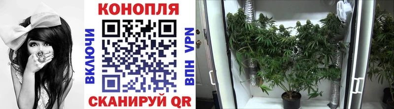 Конопля VHQ наркотики Новомичуринск